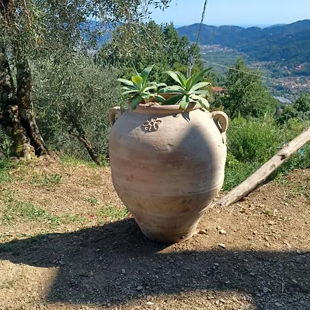 La Terrazza Di Tranci *